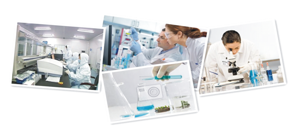 5eec5f333387d.png 20200619144535.png